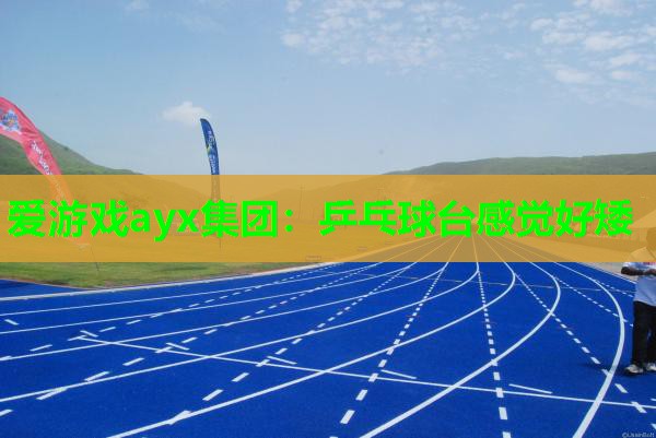 爱游戏ayx集团：乒乓球台感觉好矮