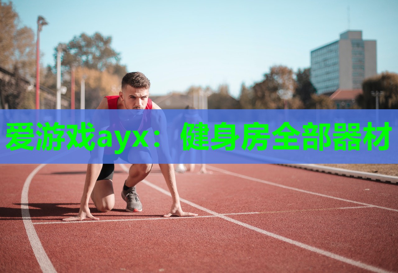 爱游戏ayx：健身房全部器材