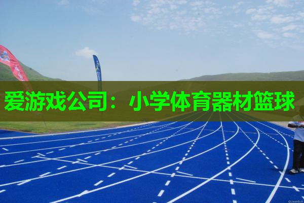 爱游戏公司：小学体育器材篮球