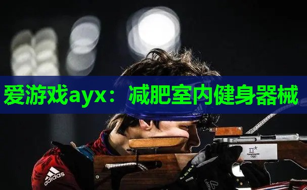 爱游戏ayx：减肥室内健身器械