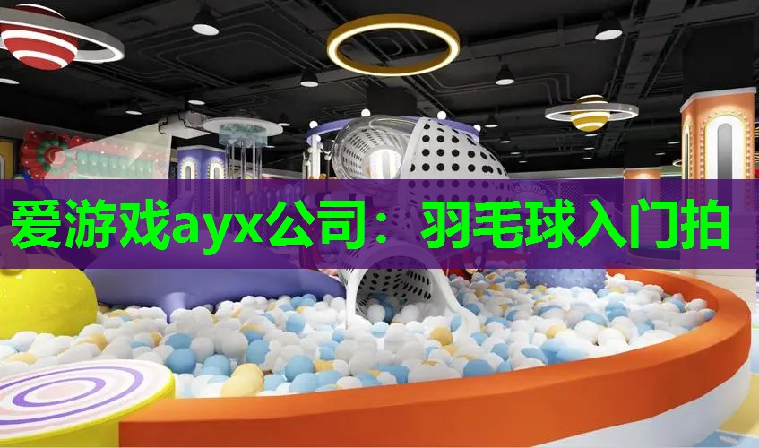 爱游戏ayx公司：羽毛球入门拍