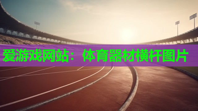 爱游戏网站：体育器材横杆图片