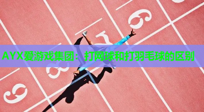 AYX爱游戏集团：打网球和打羽毛球的区别