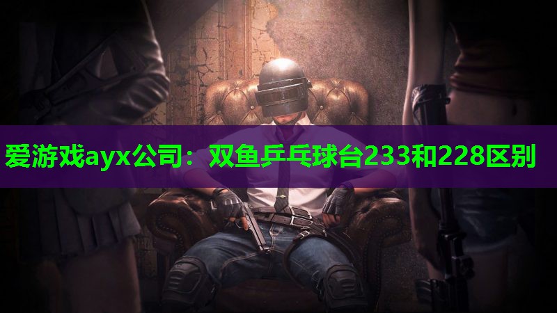 爱游戏ayx公司：双鱼乒乓球台233和228区别