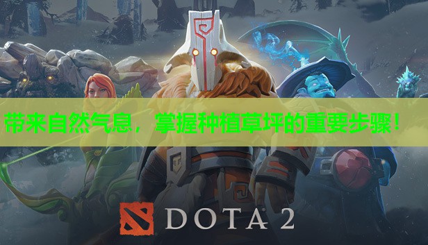 带来自然气息，掌握种植草坪的重要步骤！