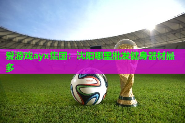 爱游戏ayx集团：沈阳哪里批发健身器材最多