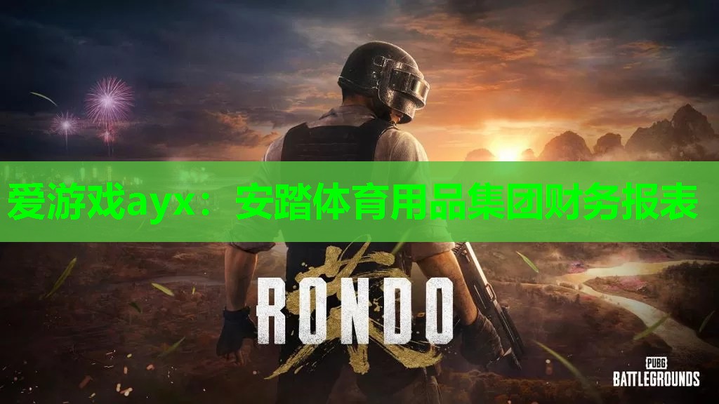 爱游戏ayx：安踏体育用品集团财务报表