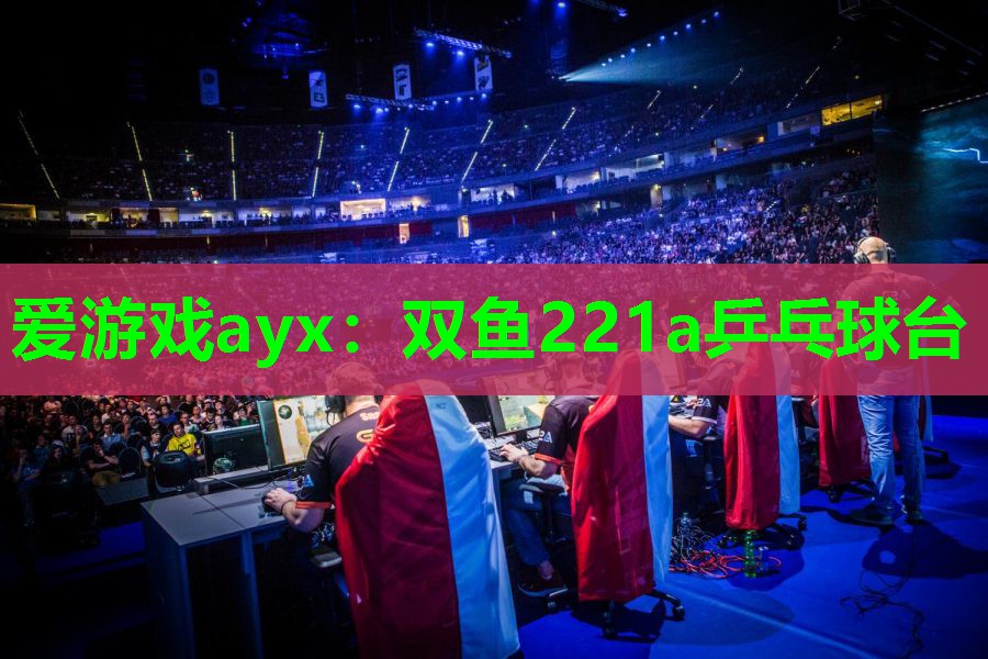 爱游戏ayx：双鱼221a乒乓球台