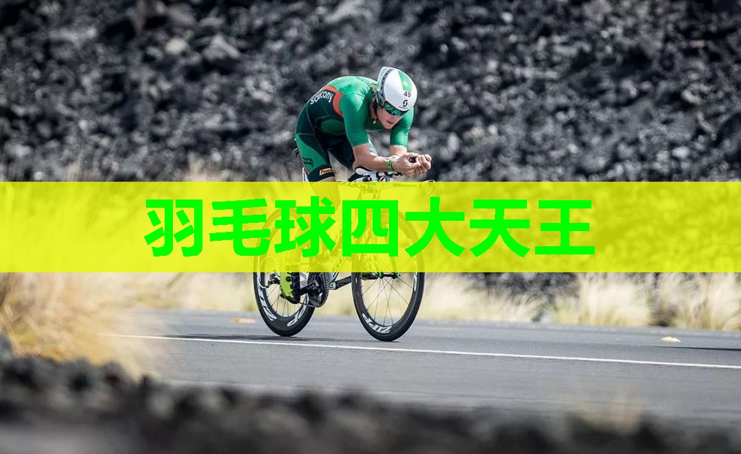 羽毛球四大天王