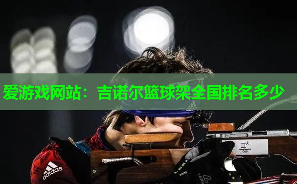 爱游戏网站：吉诺尔篮球架全国排名多少