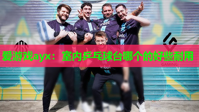 爱游戏ayx：室内乒乓球台哪个的好些耐用