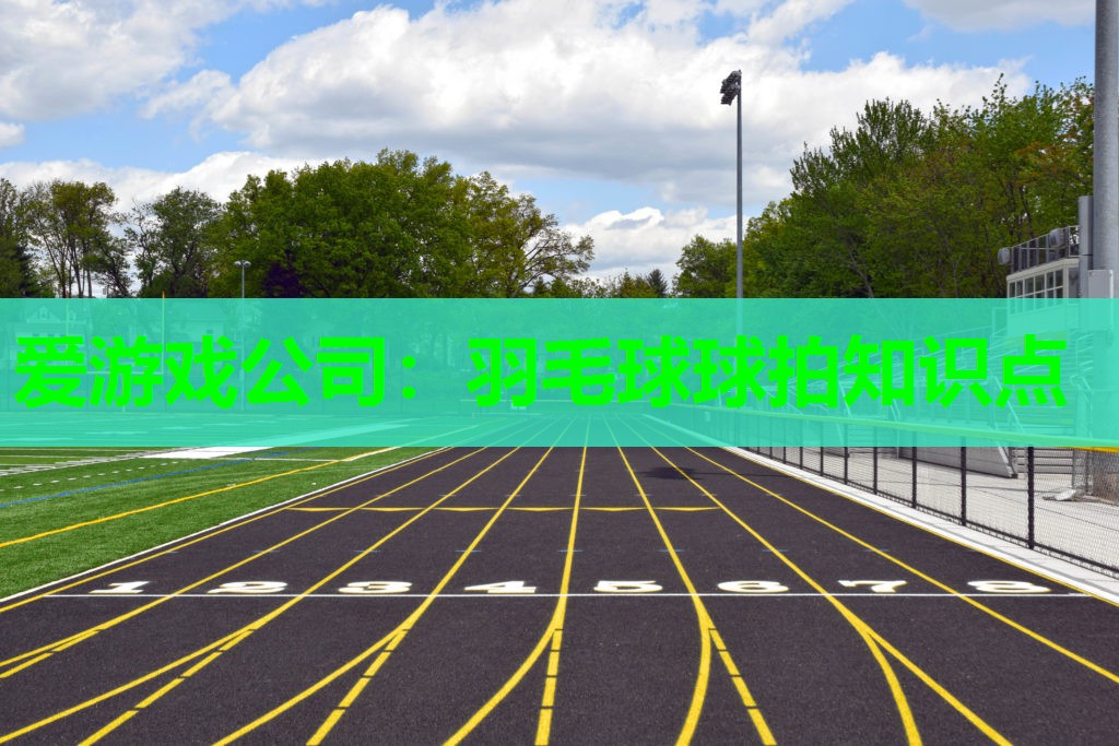 爱游戏公司：羽毛球球拍知识点
