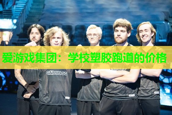 学校塑胶跑道的价格 学校塑胶跑道的价格