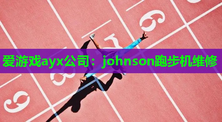 johnson跑步机维修