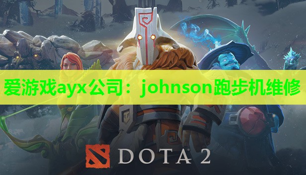 johnson跑步机维修