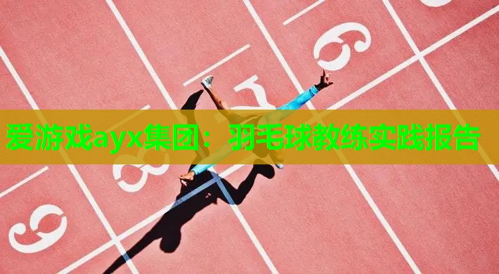 羽毛球教练实践报告