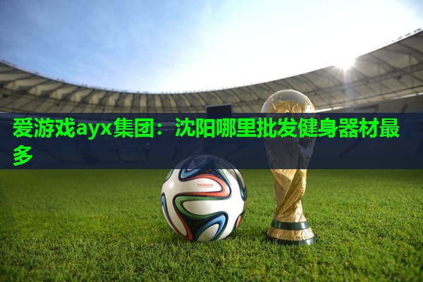 沈阳哪里批发健身器材最多 沈阳哪里批发健身器材最多