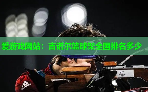 吉诺尔篮球架全国排名多少 吉诺尔篮球架全国排名多少