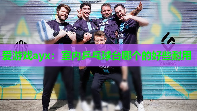 室内乒乓球台哪个的好些耐用 室内乒乓球台哪个的好些耐用