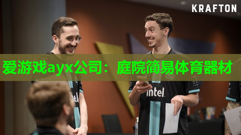 庭院简易体育器材 庭院简易体育器材