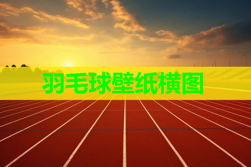 羽毛球壁纸横图 羽毛球壁纸横图