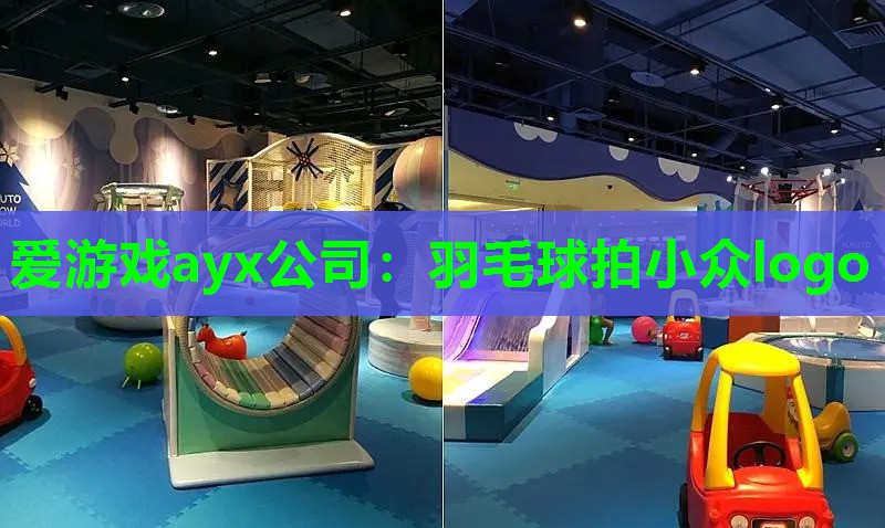 羽毛球拍小众logo 羽毛球拍小众logo