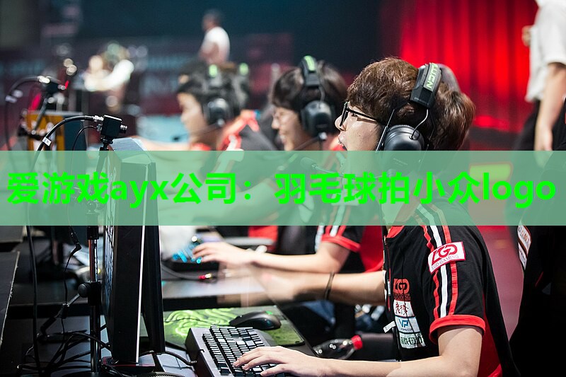 羽毛球拍小众logo 羽毛球拍小众logo
