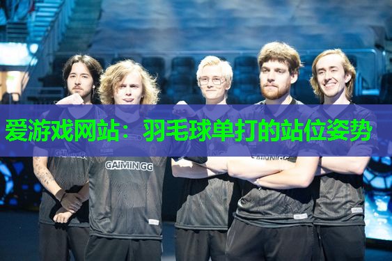 羽毛球单打的站位姿势 羽毛球单打的站位姿势