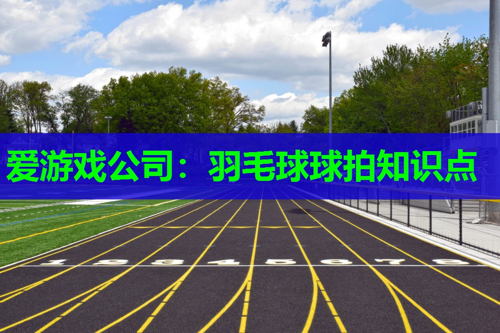 羽毛球球拍知识点 羽毛球球拍知识点
