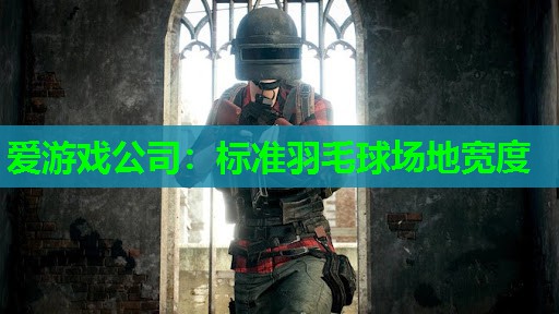 标准羽毛球场地宽度 标准羽毛球场地宽度