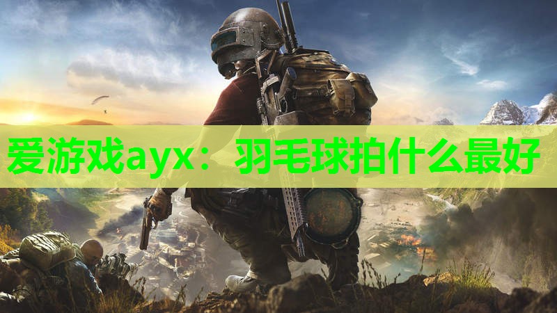 羽毛球拍什么最好 羽毛球拍什么最好