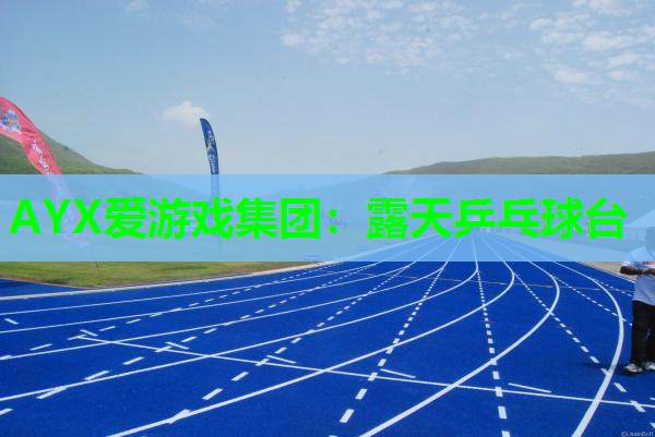 露天乒乓球台 露天乒乓球台